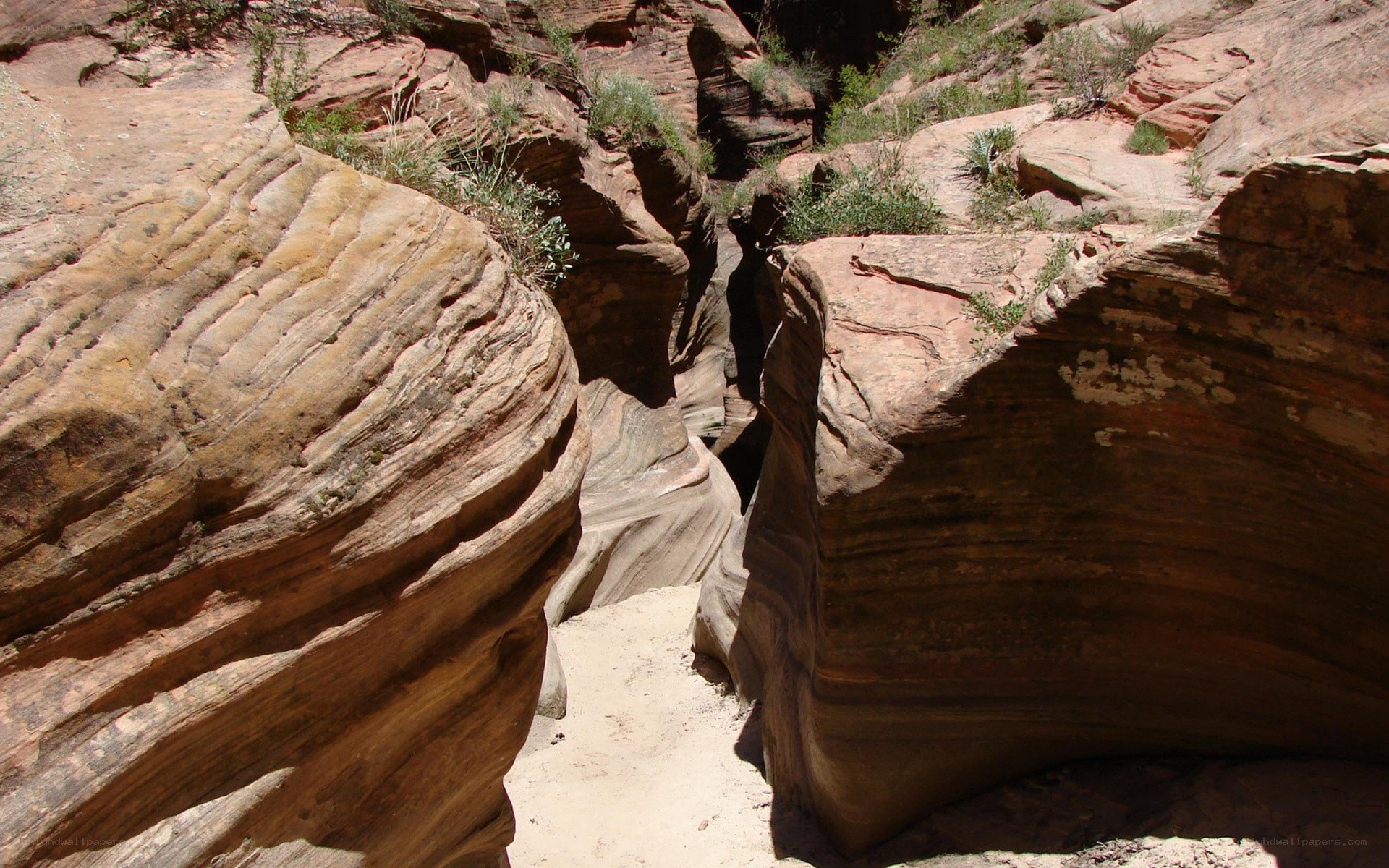 rocky canyon with layered formations