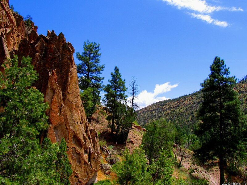 rocky canyon with pine trees