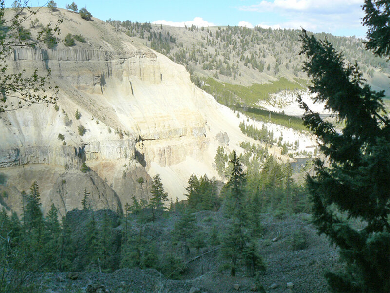 Rocky Canyon with Trees — Green
