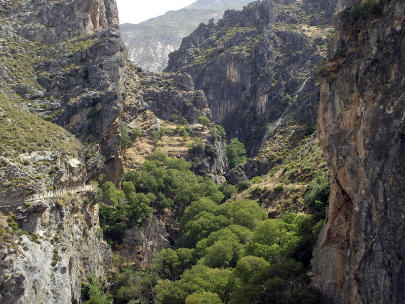 Rocky Canyon with Trees
