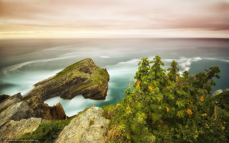 Rocky Cliff by Ocean — Green
