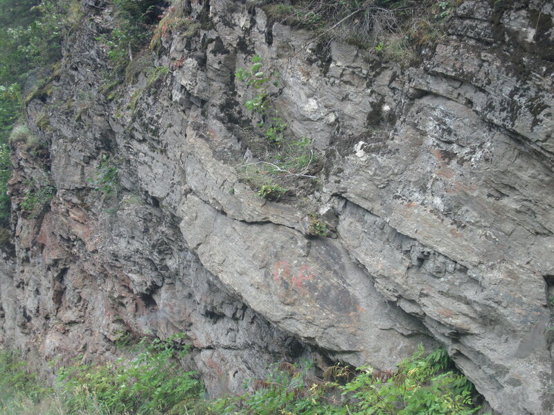 Rocky Cliff Face — Gray, Natural, Photograph, Vegetation