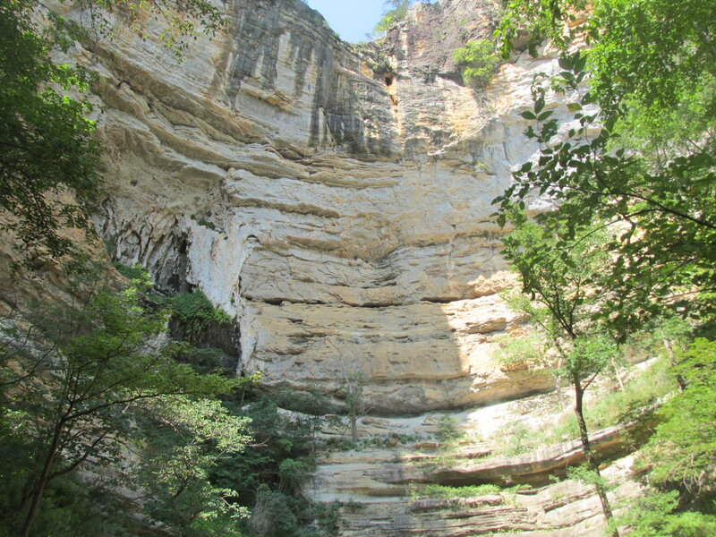Rocky Cliff Face — Green, Natural, Afternoon