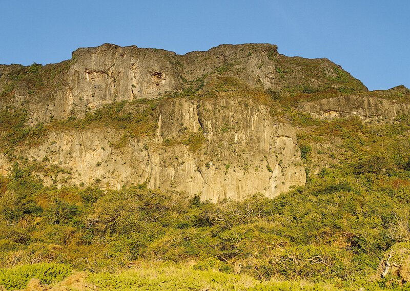 rocky cliff face with greenery