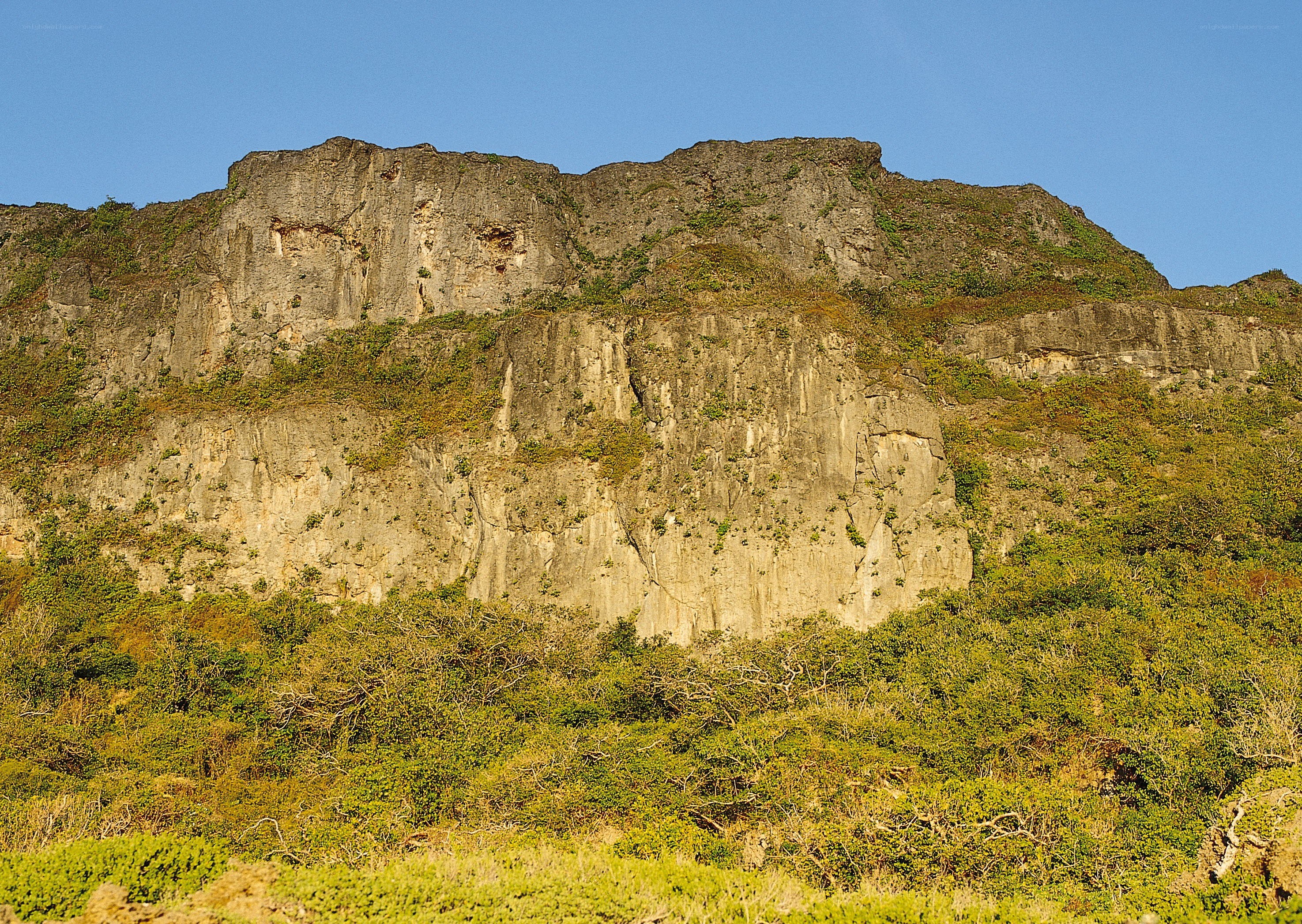 rocky cliff face with greenery
