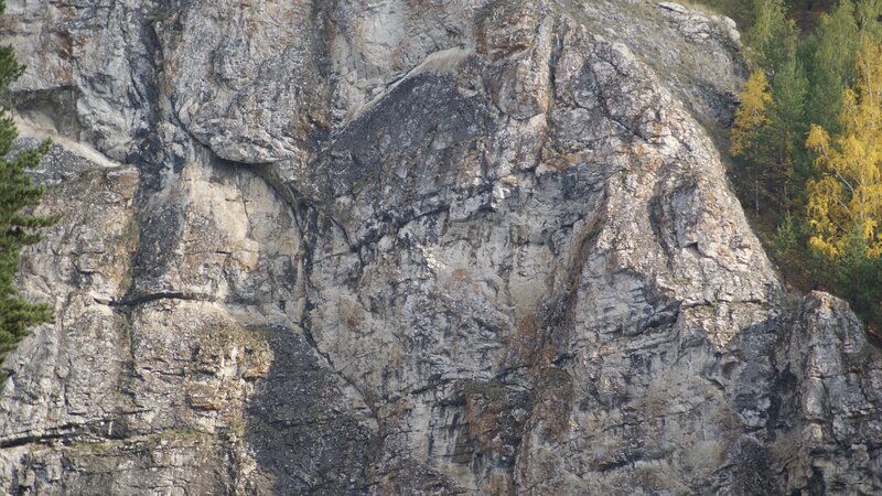 rocky cliff face with trees