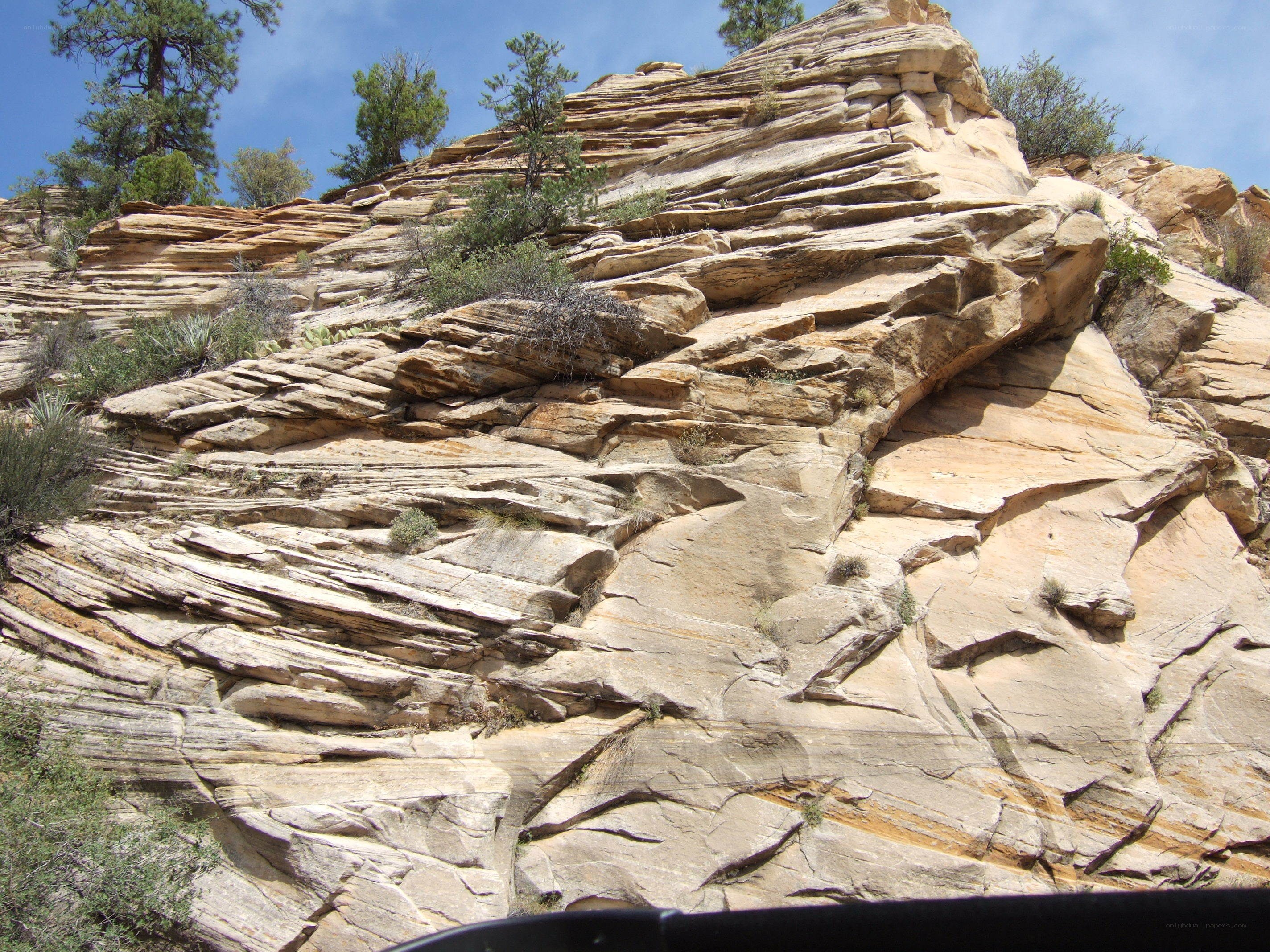 rocky cliff face with vegetation
