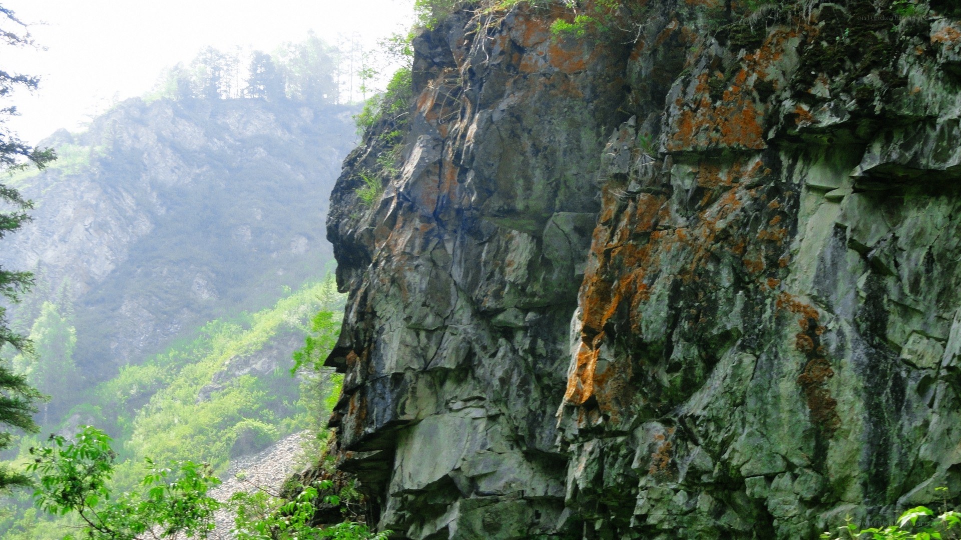 rocky cliff in a forested valley