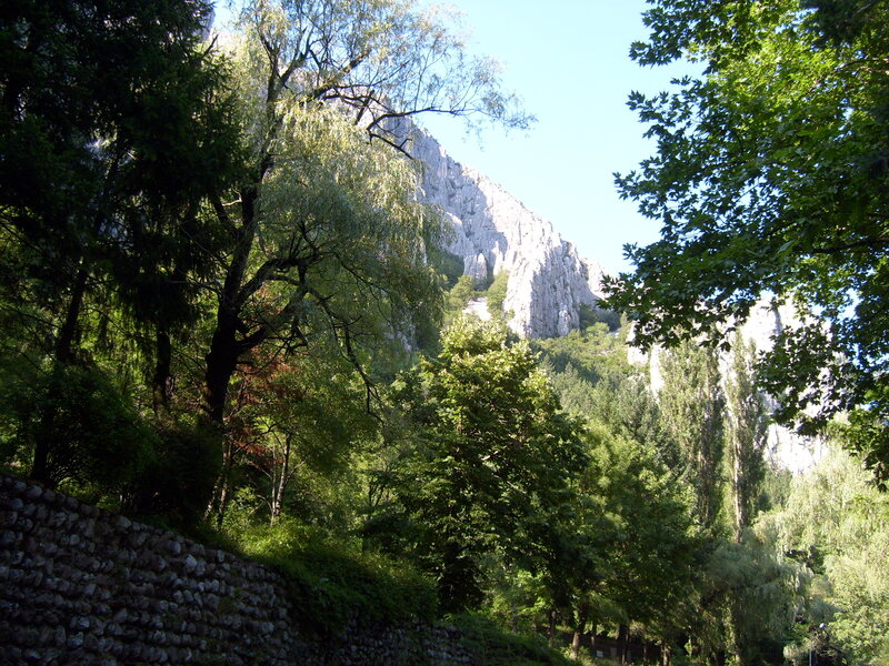 Rocky Cliff in Forest — Green