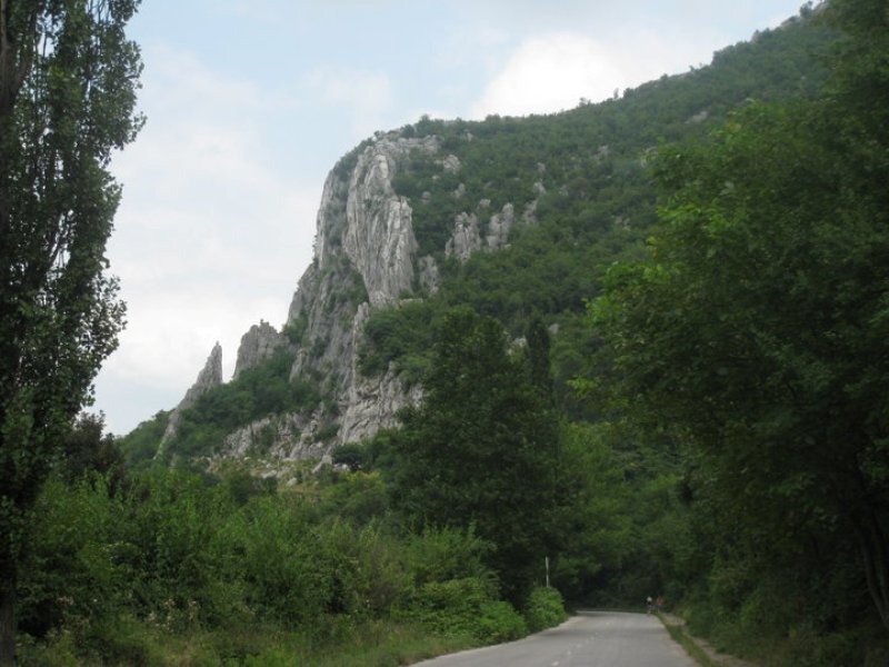 Rocky Cliff in Forest