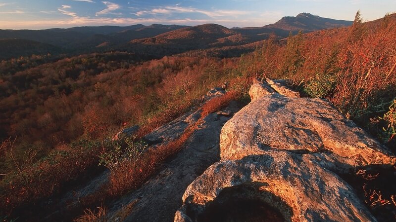 Rocky Cliff Overlooking Forest