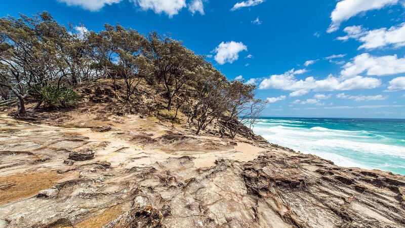Rocky Cliff Overlooking Ocean — Blue, Serene, Afternoon, Photograph, Trees