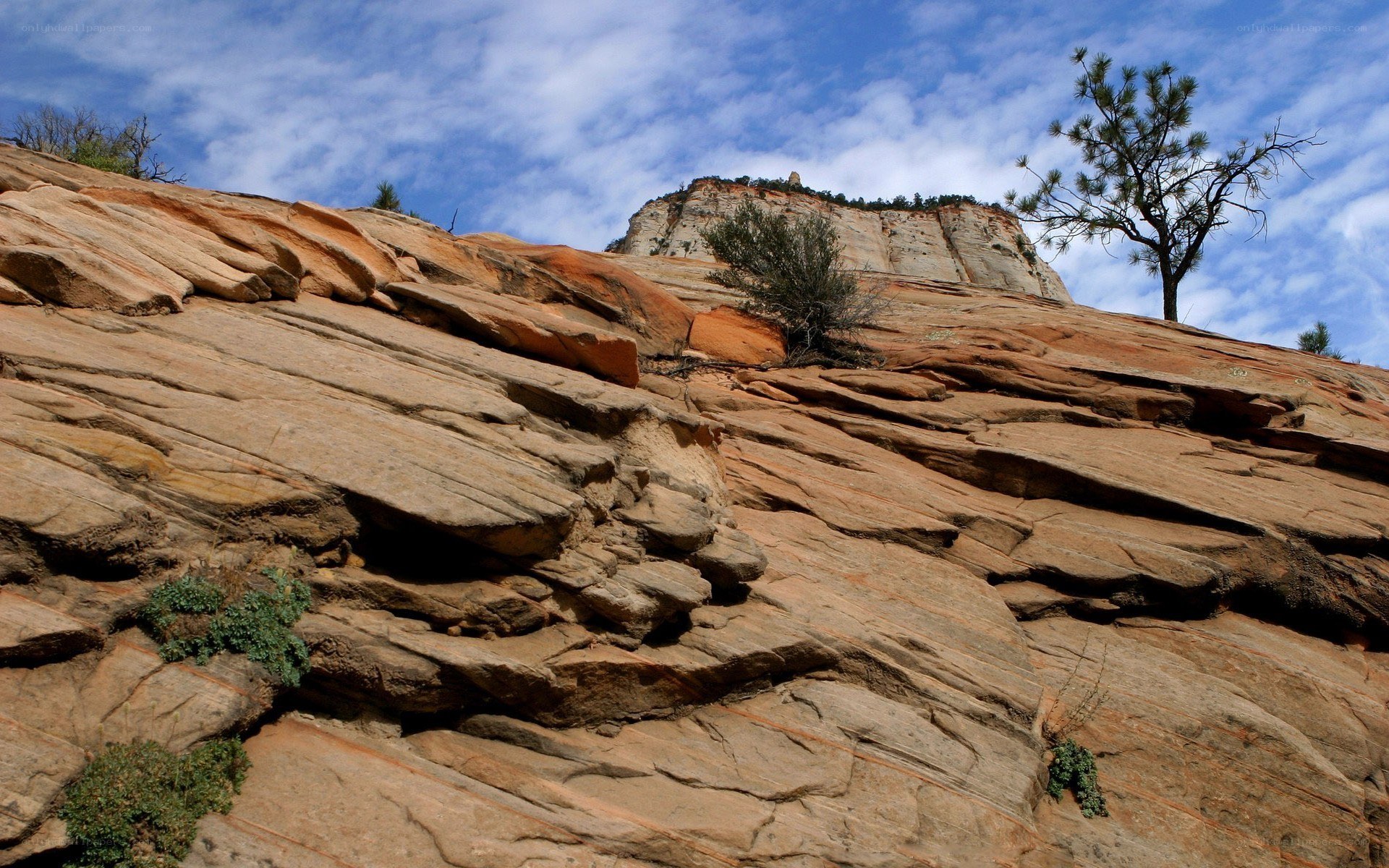 rocky cliff under blue sky