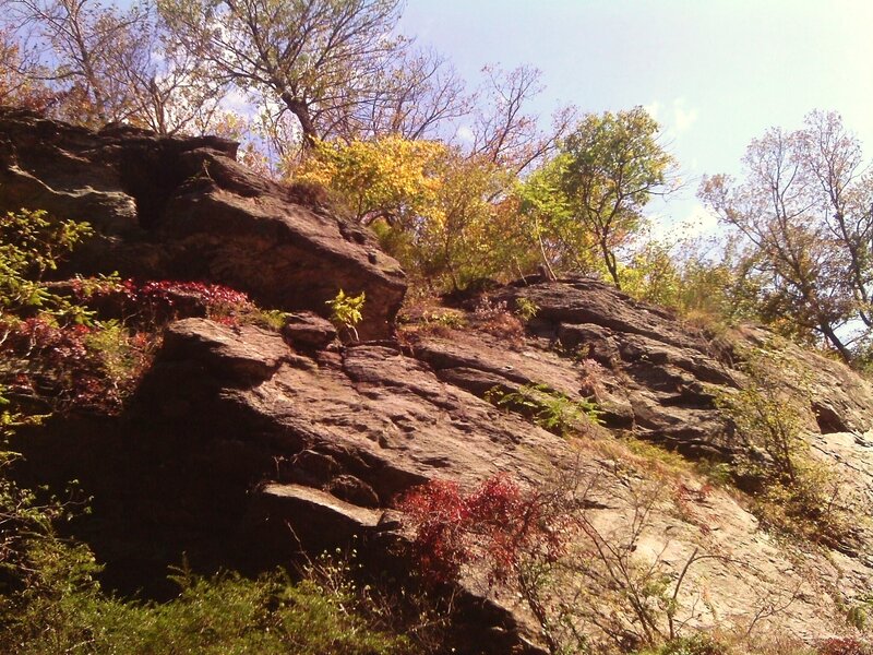 Rocky Cliff with Autumn Foliage — Brown