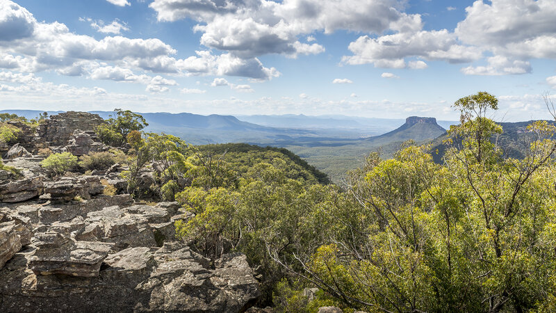 Rocky Cliff with Forest — Green, Serene
