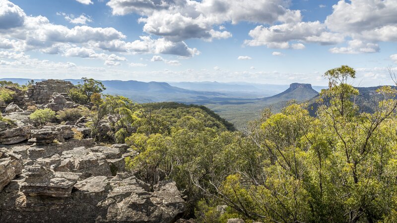 Rocky Cliff with Forest — Green