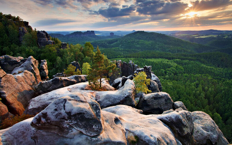 Rocky Cliff with Forest