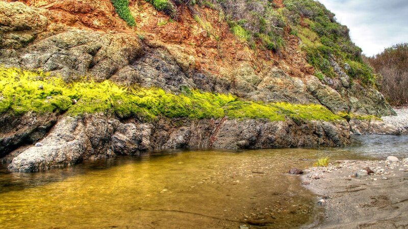 rocky cliff with green moss