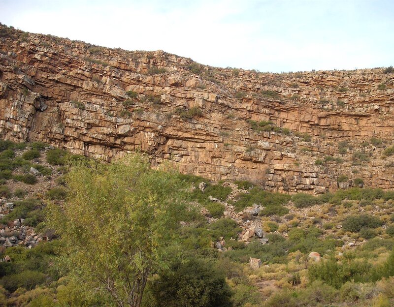 rocky cliff with green shrubs