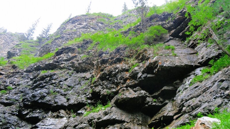 rocky cliff with green vegetation