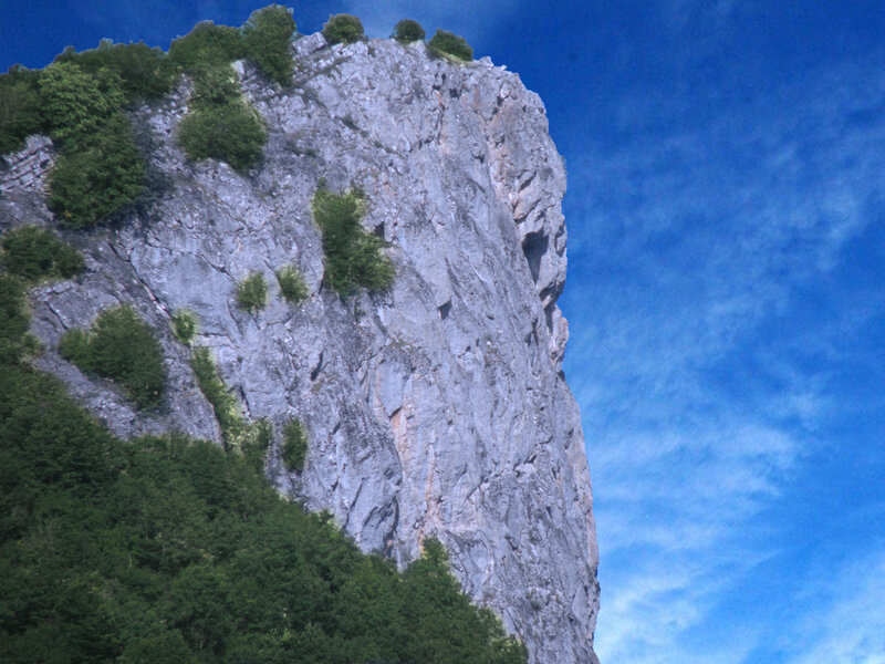 Rocky cliff with greenery