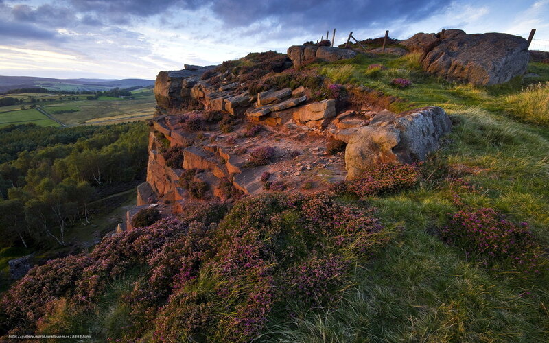 Rocky Cliff with Heather