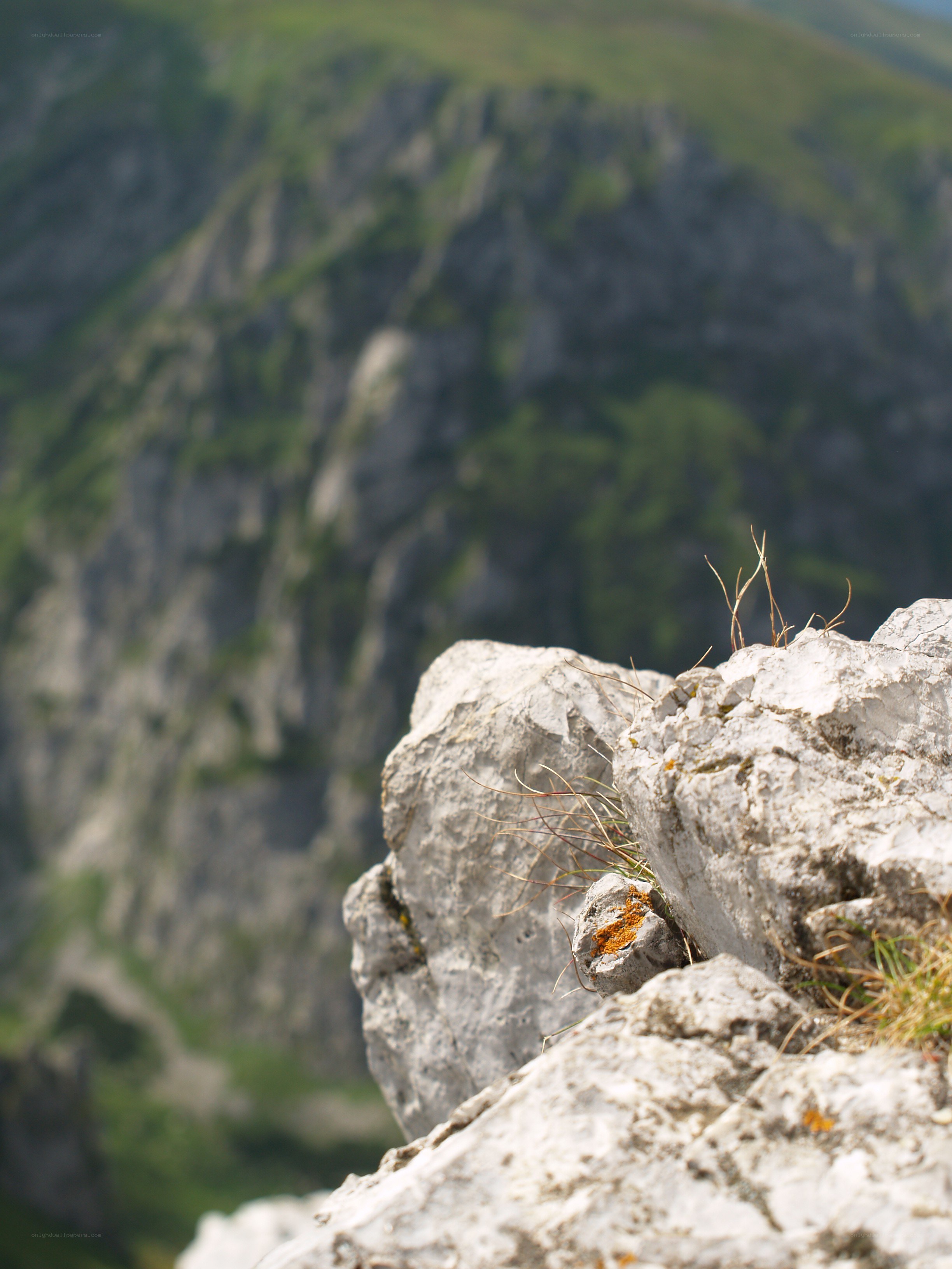 rocky cliff with mountain view