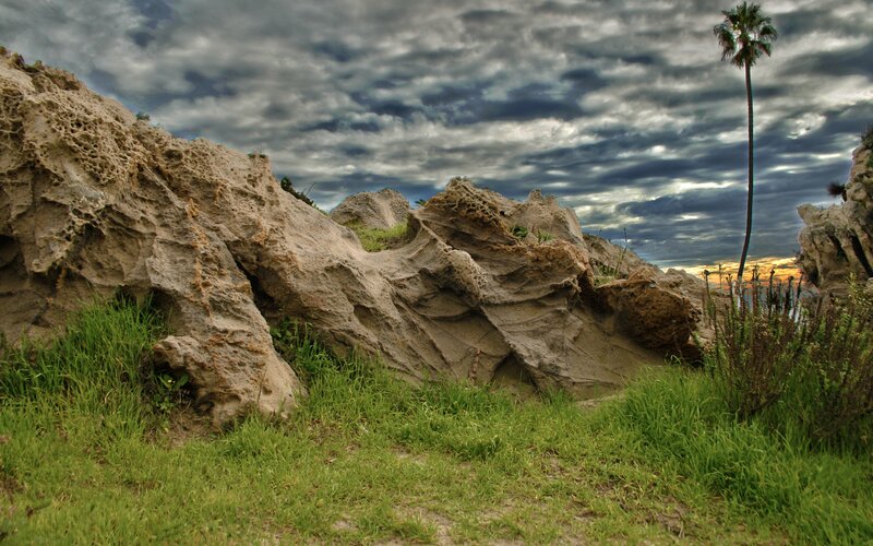 Rocky Cliff with Palm Tree