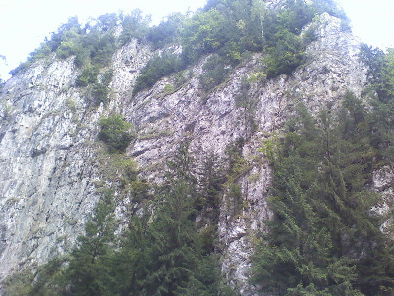 rocky cliff with trees