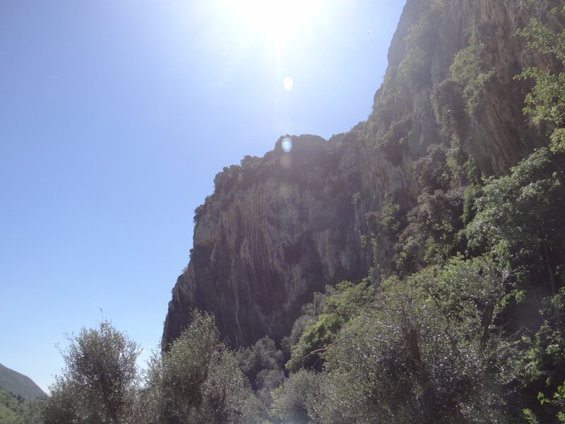 Rocky Cliff with Trees — Blue, Serene