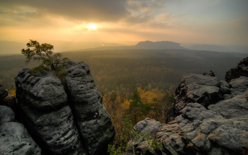 Rocky Cliff with Trees — Gray