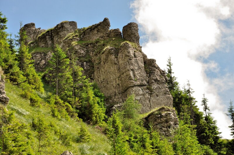 Rocky Cliff with Trees — Green