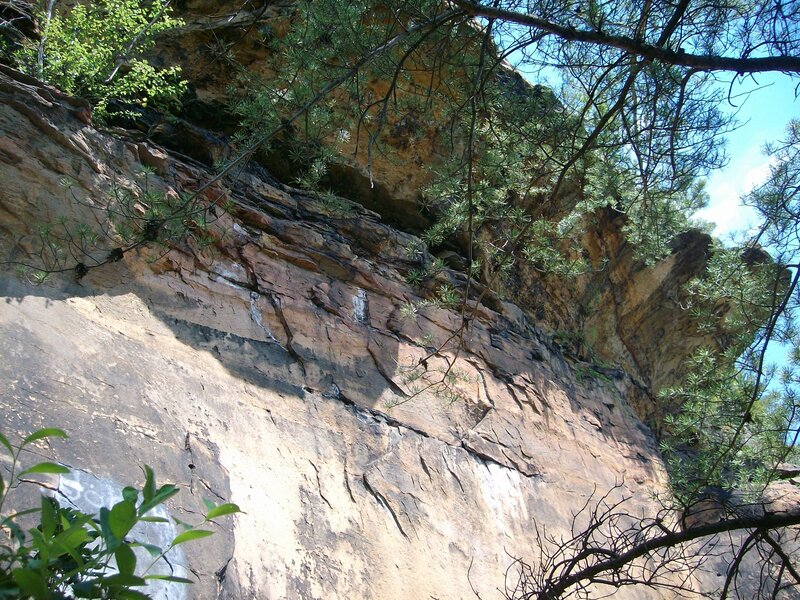 rocky cliff with trees