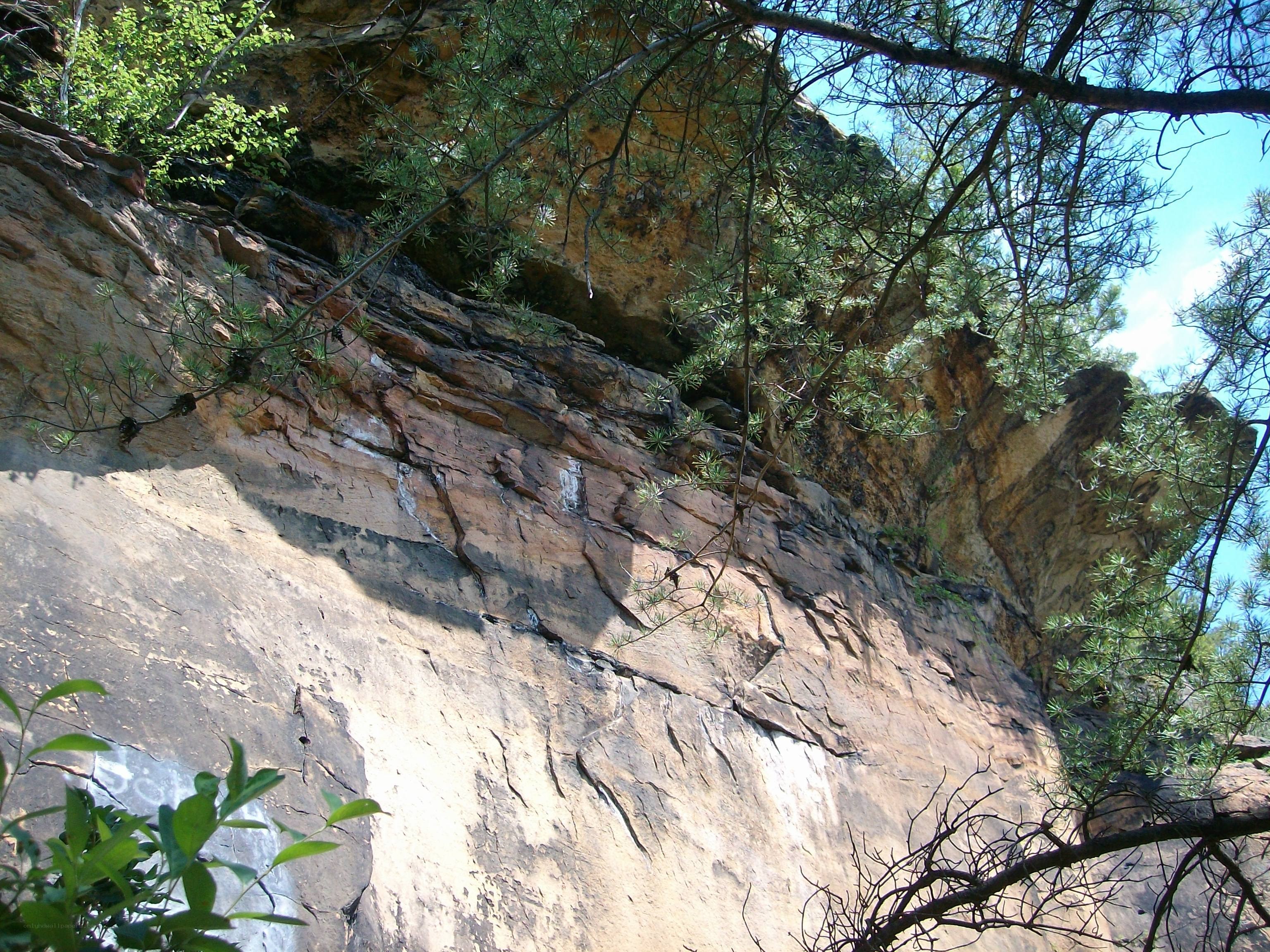 rocky cliff with trees