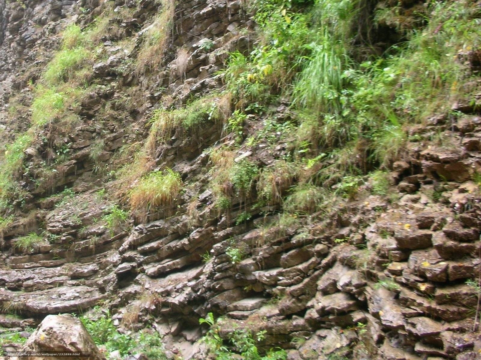 rocky cliff with vegetation