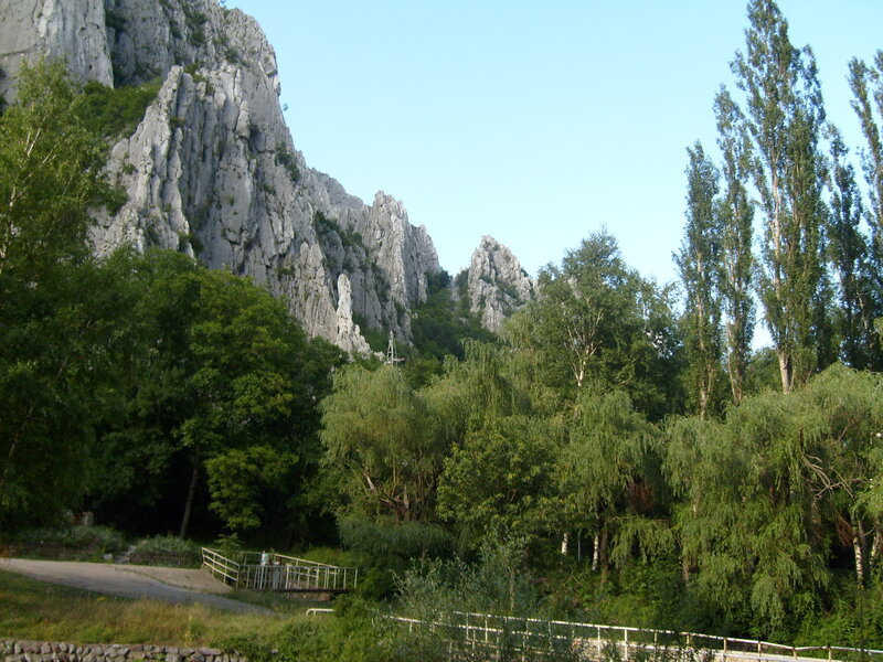 Rocky Cliffs and Trees