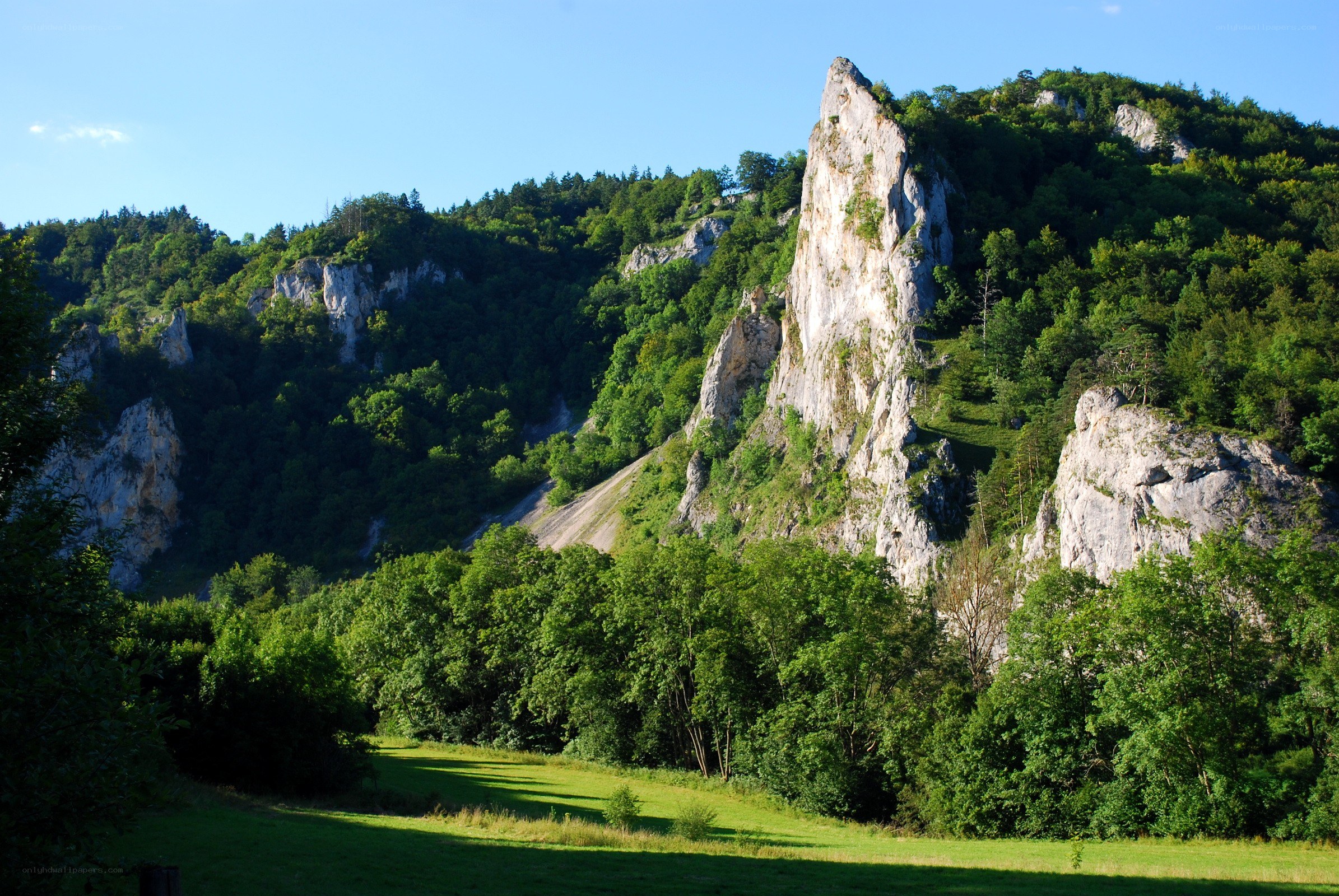 Rocky cliffs in a forested valley