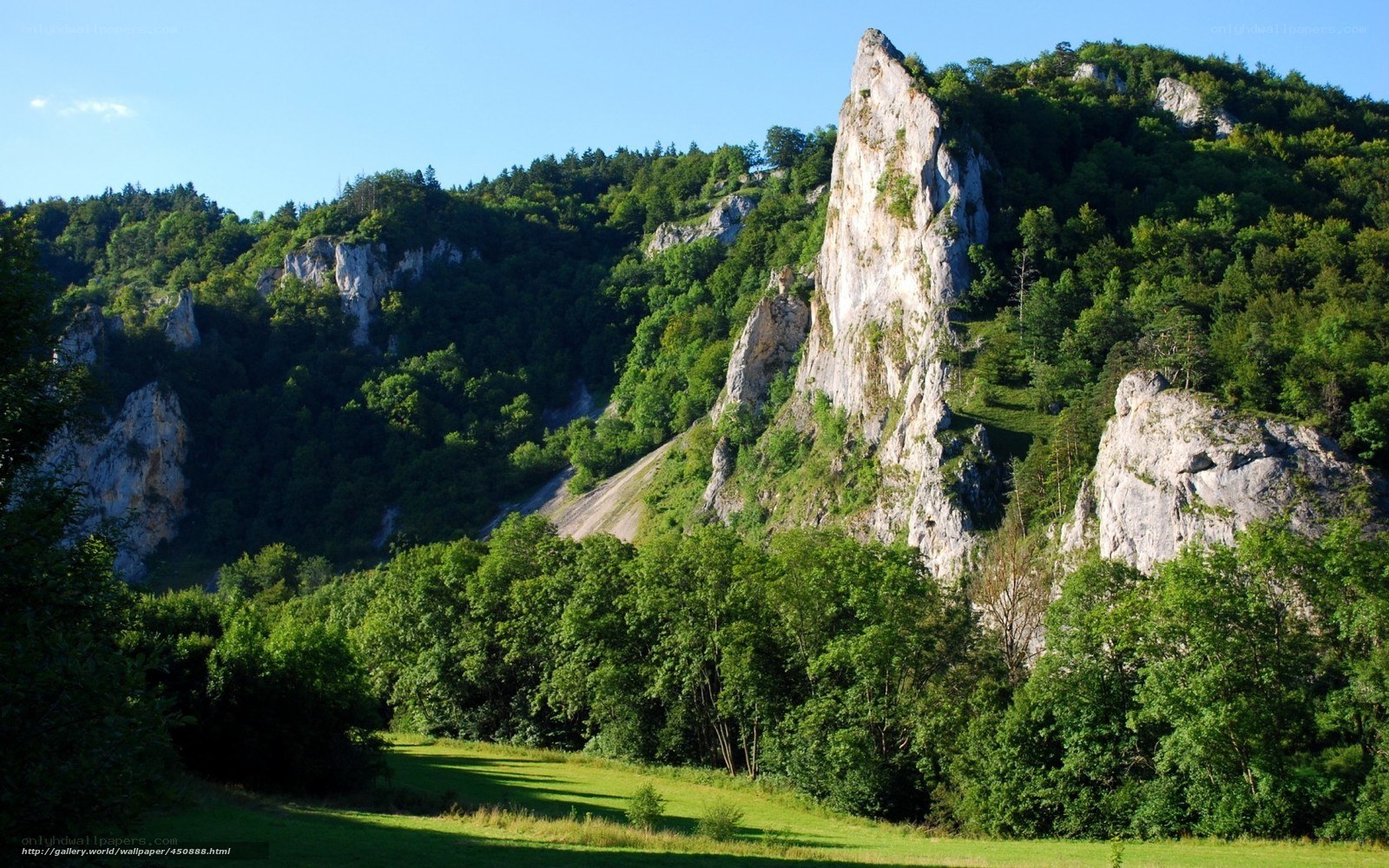 Rocky cliffs in forested valley