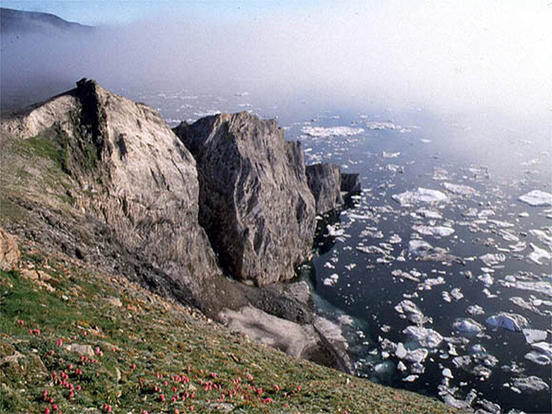 Rocky Cliffs with Ice Floes