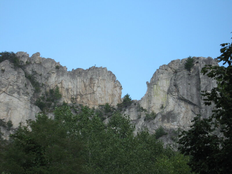 rocky cliffs with trees