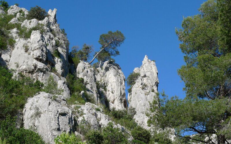 Rocky Cliffs with Trees — Blue