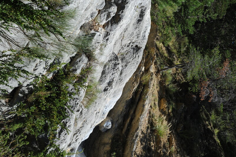 rocky cliffside with greenery