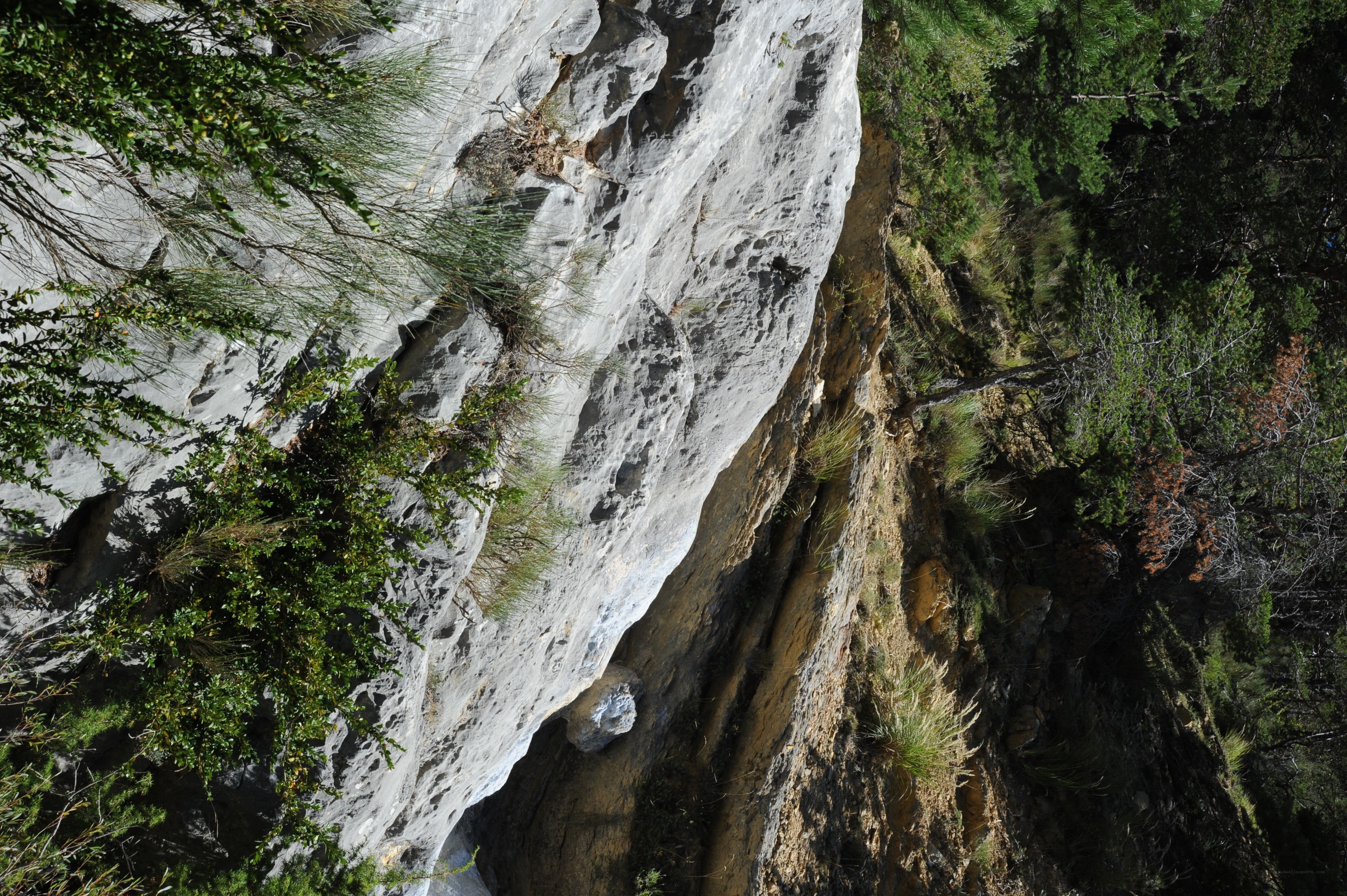 rocky cliffside with greenery