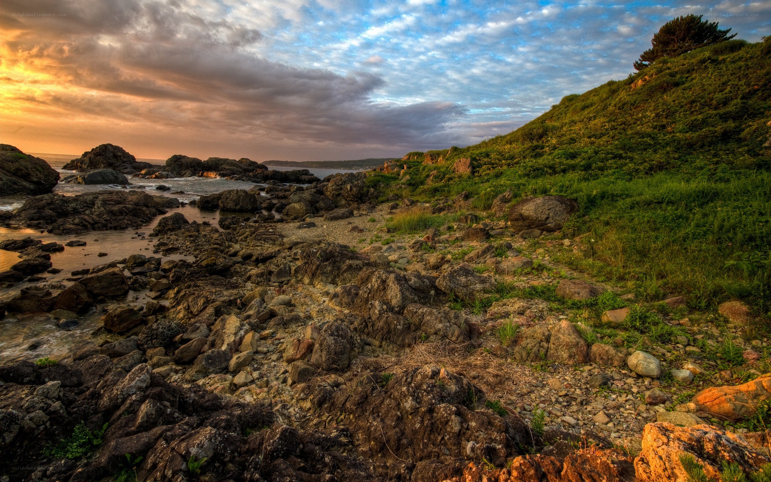 Rocky coast at sunset