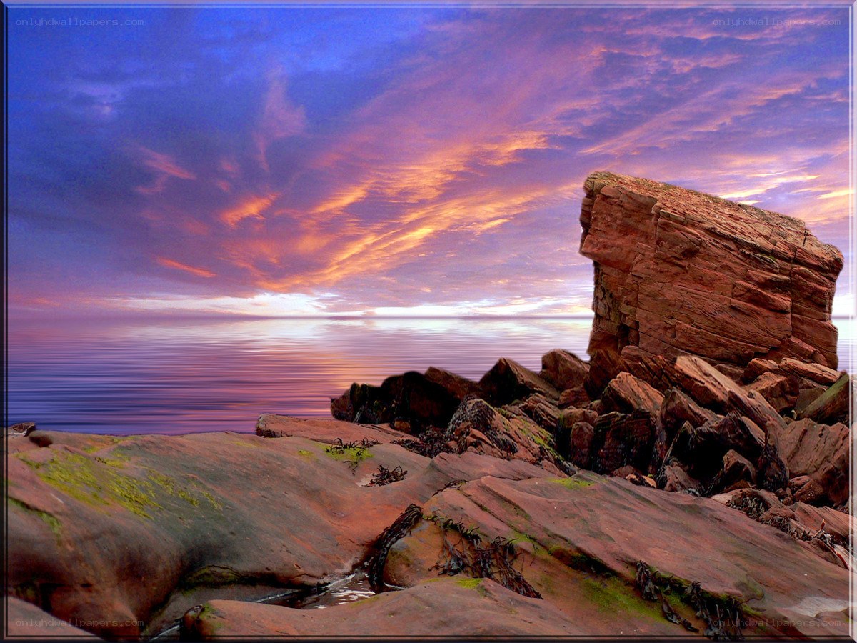 Rocky coast at sunset