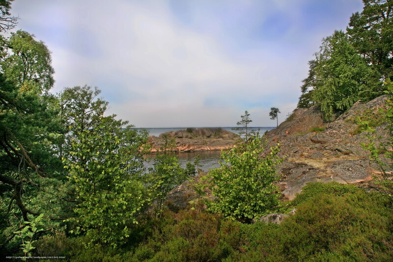 Rocky coast with forest view