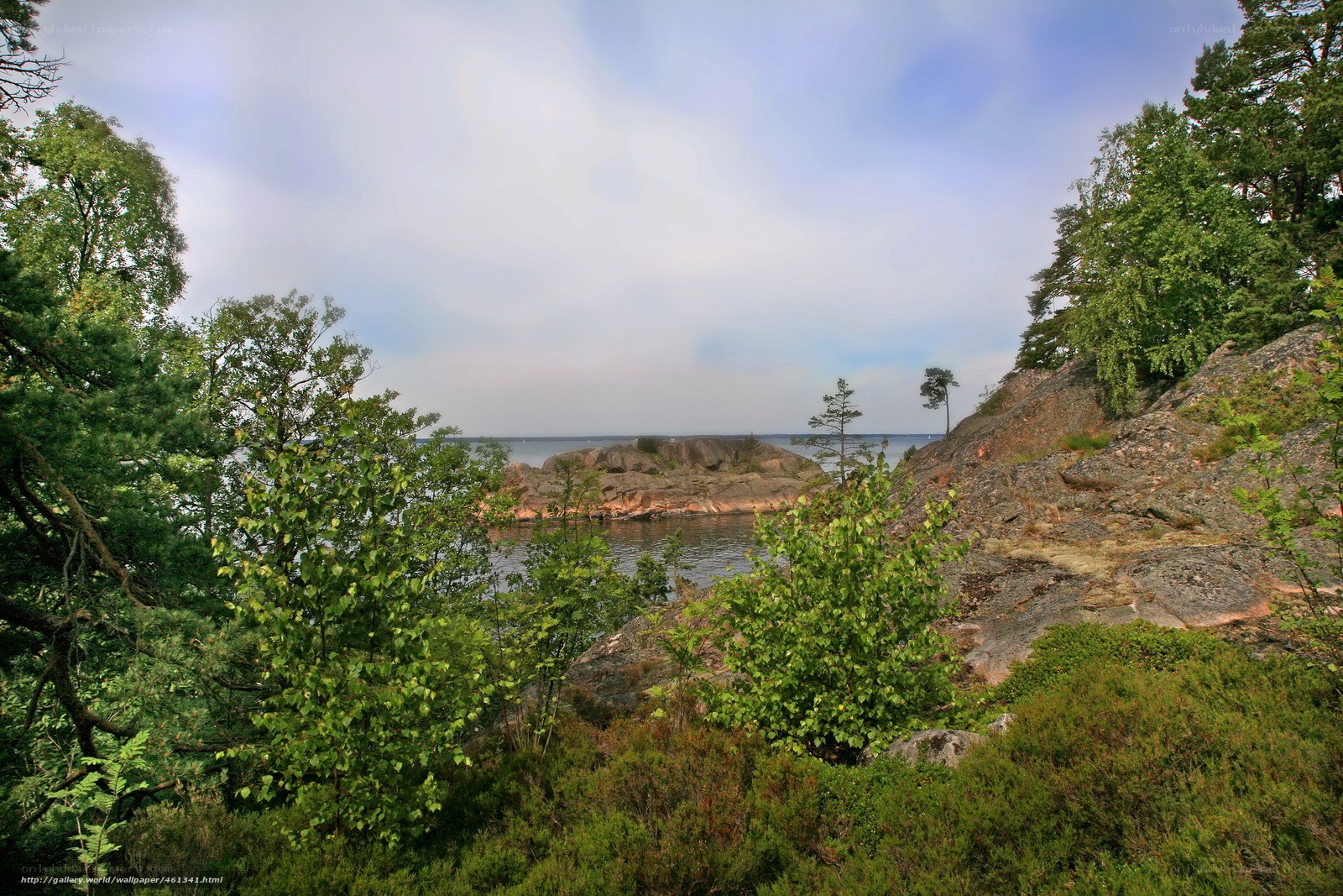 Rocky coast with forest view