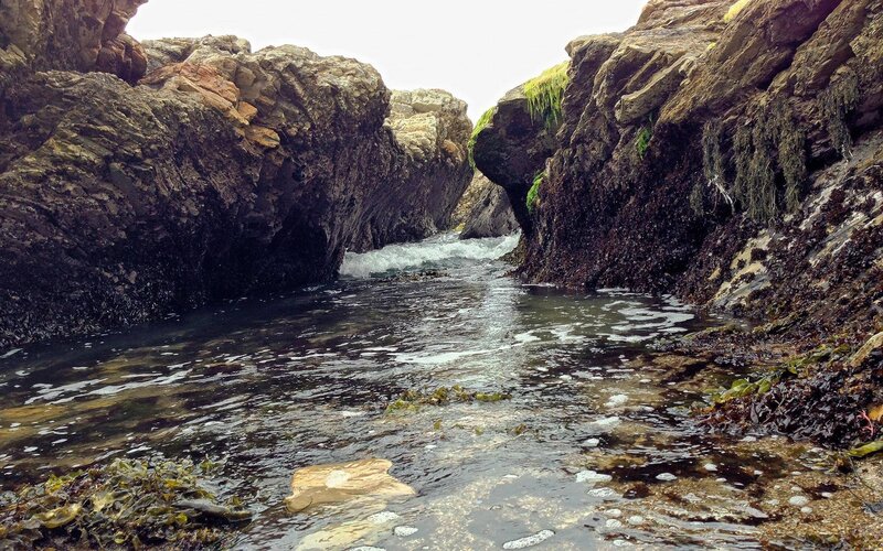 rocky coastal inlet with seaweed