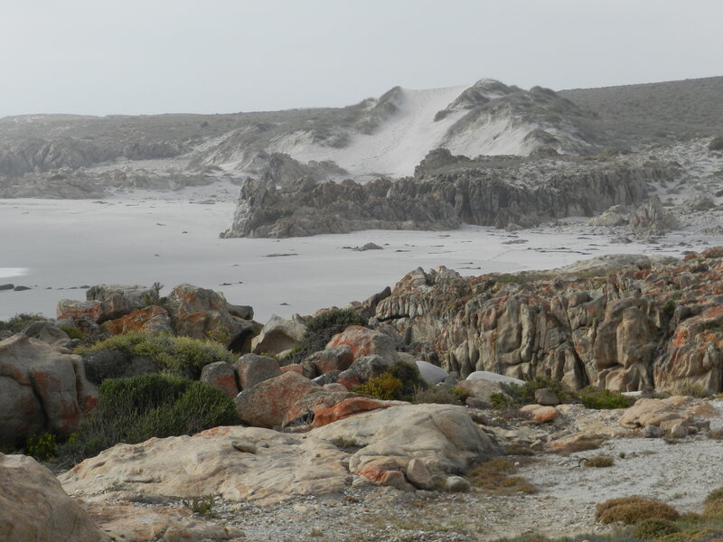 Rocky Coastal Landscape — Gray