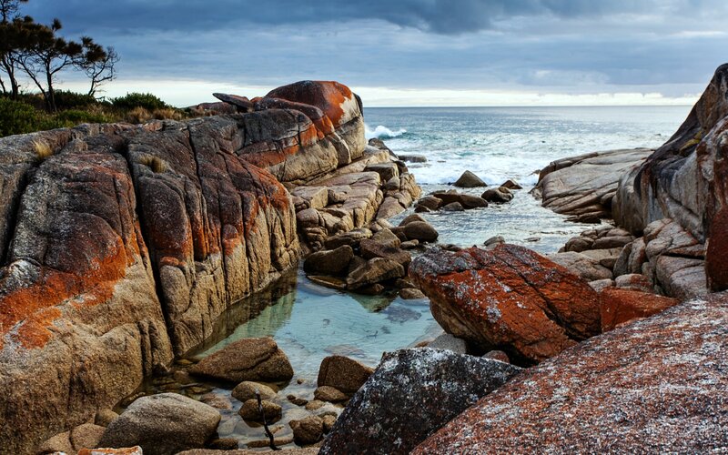 Rocky Coastal Tide Pool — Gray